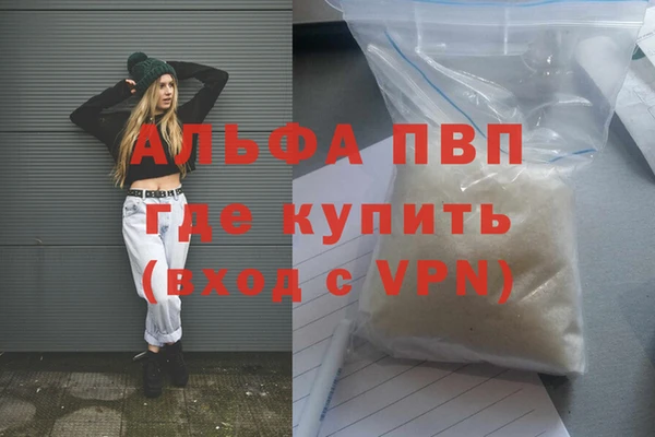 ГАЛЛЮЦИНОГЕННЫЕ ГРИБЫ Дмитриев