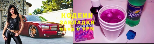 ГАЛЛЮЦИНОГЕННЫЕ ГРИБЫ Дмитриев
