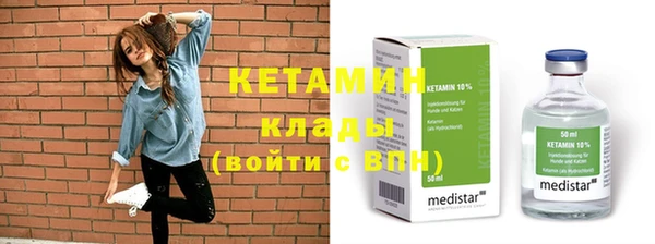 ГАЛЛЮЦИНОГЕННЫЕ ГРИБЫ Дмитриев