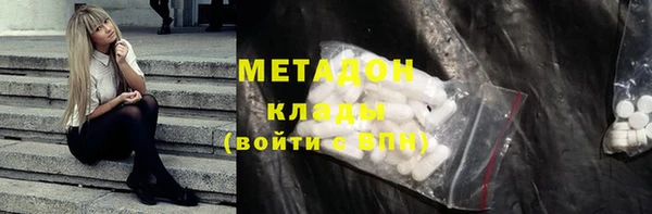 ГАЛЛЮЦИНОГЕННЫЕ ГРИБЫ Дмитриев