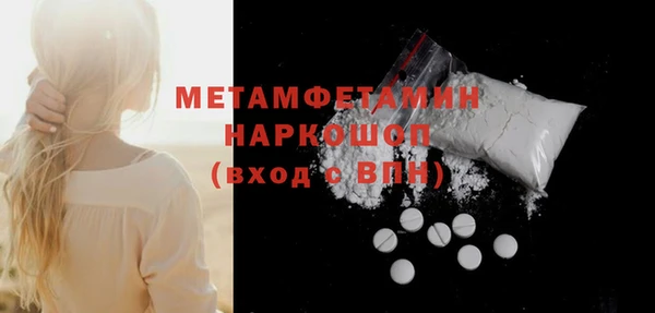 ГАЛЛЮЦИНОГЕННЫЕ ГРИБЫ Дмитриев