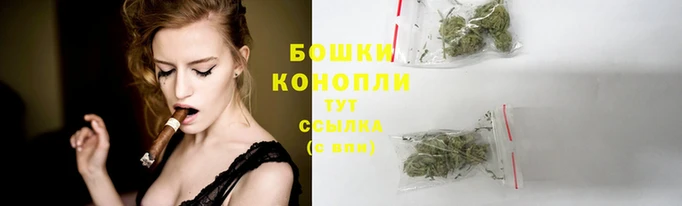 ГАЛЛЮЦИНОГЕННЫЕ ГРИБЫ Дмитриев