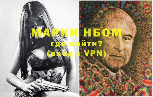 ГАЛЛЮЦИНОГЕННЫЕ ГРИБЫ Дмитриев