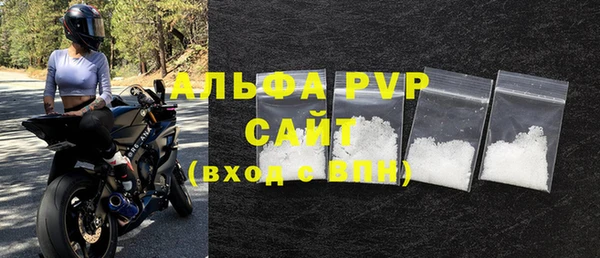 ГАЛЛЮЦИНОГЕННЫЕ ГРИБЫ Дмитриев