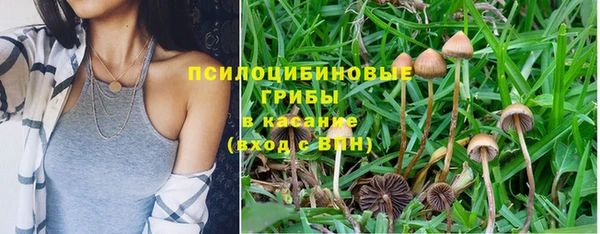 ГАЛЛЮЦИНОГЕННЫЕ ГРИБЫ Дмитриев