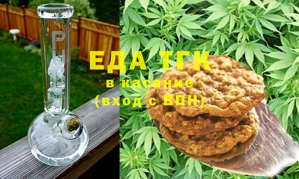 ГАЛЛЮЦИНОГЕННЫЕ ГРИБЫ Дмитриев