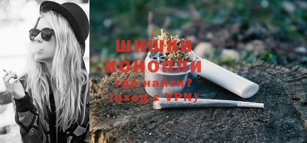 ГАЛЛЮЦИНОГЕННЫЕ ГРИБЫ Дмитриев
