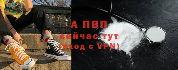 МДПВ Гусев