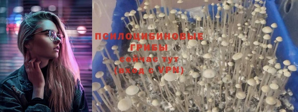 марки nbome Дмитров