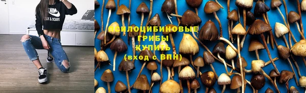 Альфа ПВП Дмитровск